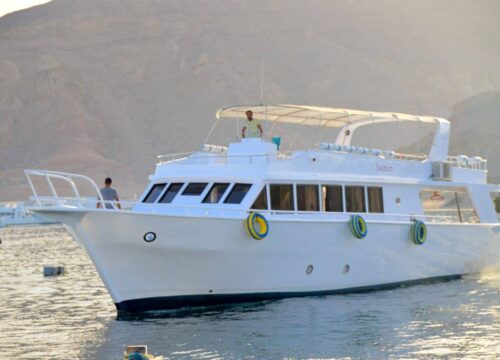 Excursion privée en bateau de plongée en apnée