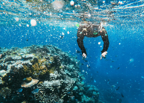 Snorkeling sur l'île Utopia