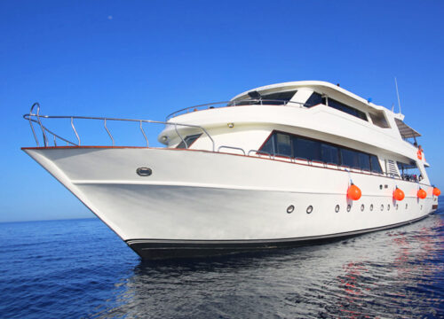 Excursion en bateau privé sur mesure