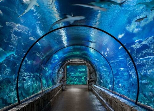 Billet d'entrée au Grand Aquarium d'Hurghada avec transfert privé