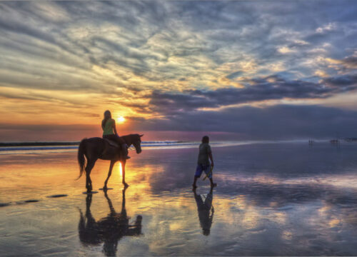 Excursion à cheval dans la mer Rouge et le désert avec baignade 1 ou 2 heures